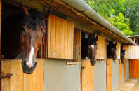 free Stoke Golding stable construction quotes